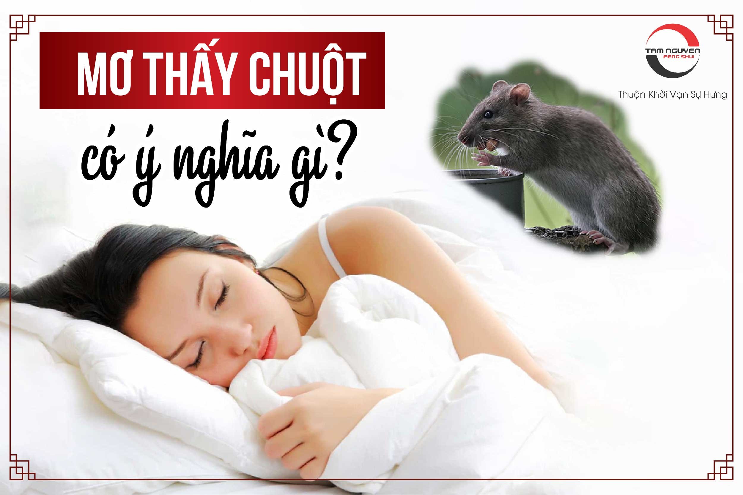 Nằm Mơ Thấy Chuột Điềm Báo Tốt Hay Xấu & Con Số May Mắn 5 Chiêm bao thấy chuột bạch