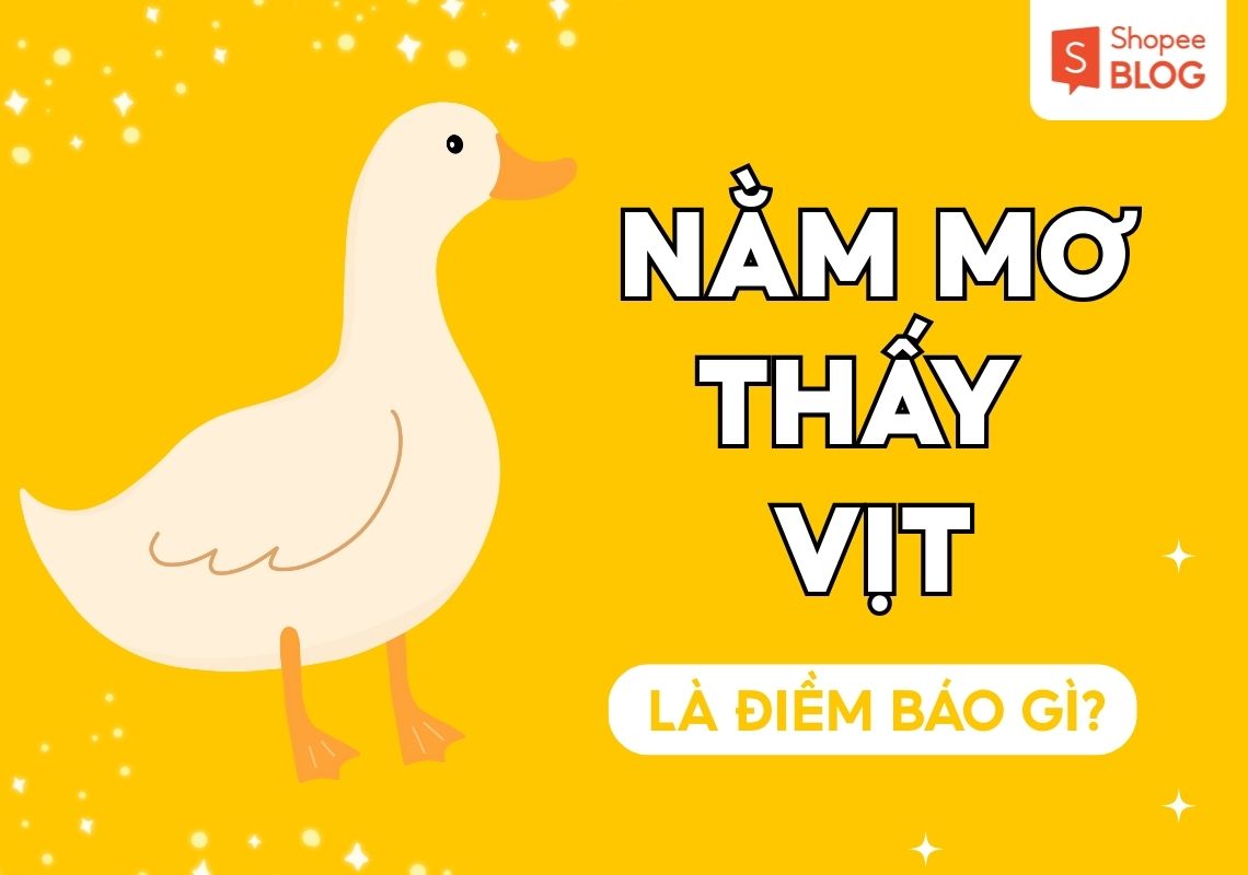 Giải mã giấc mơ thấy vịt