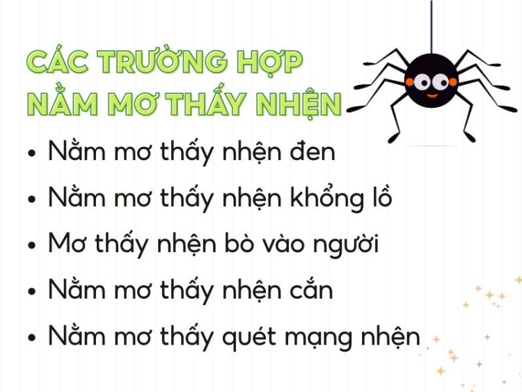 Mơ Thấy Nhện Điềm Gì? Giải Mã 35+ Giấc Mơ & Số May Mắn 5 Nằm mơ thấy nhện là điềm gì
