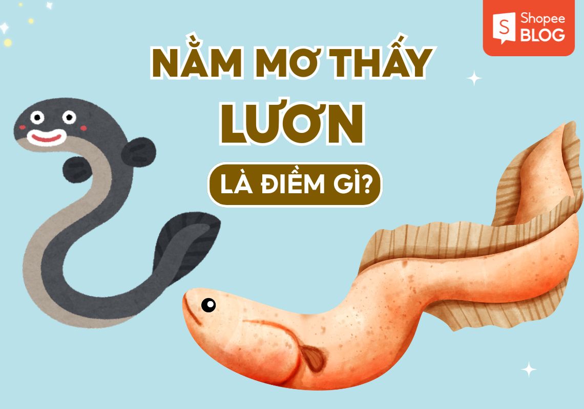 Mơ thấy lươn? Giải mã 55+ điềm báo và con số may mắn 3 Giải mã giấc mơ thấy lươn