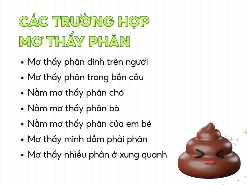 Nằm Mơ Thấy Phân Giải Mã Điềm Báo Tốt Xấu & Con Số May Mắn 3 Giải mã giấc mơ thấy phân