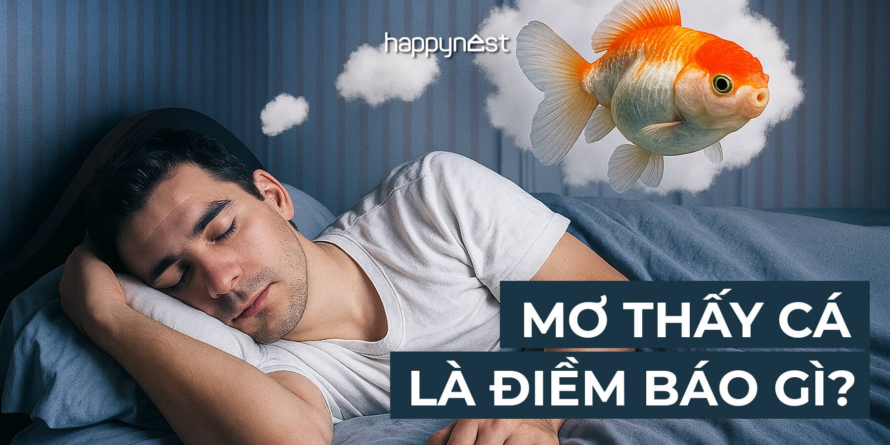 Nằm Mơ Thấy Cá Giải Mã Điềm Báo Tốt Xấu Và Số May Mắn 3 Nằm mơ thấy một đàn cá bơi lội