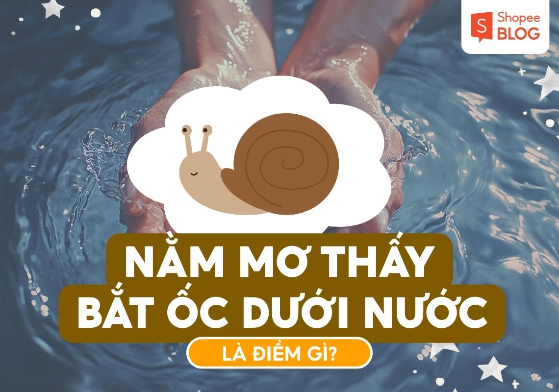 Mơ Thấy Bắt Ốc Là Điềm Gì? Giải Mã Và Con Số May Mắn 3 Nằm mơ thấy bắt ốc dưới nước