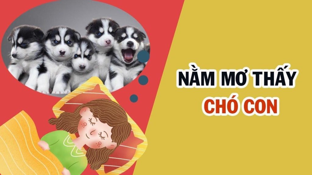 mo thay cho con 5422