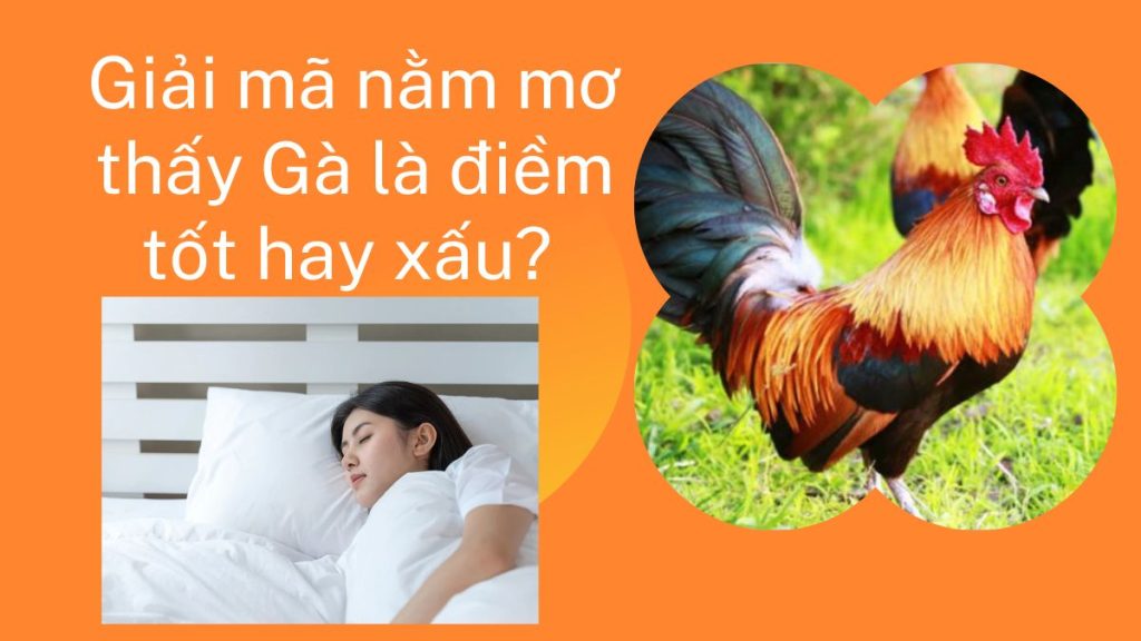 nam mo thay ga 4785