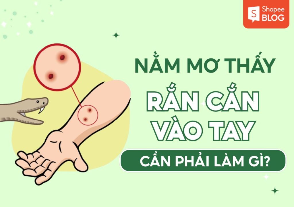 nam mo thay ran can vao tay 4990