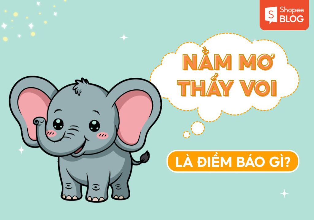 nam mo thay voi 5109